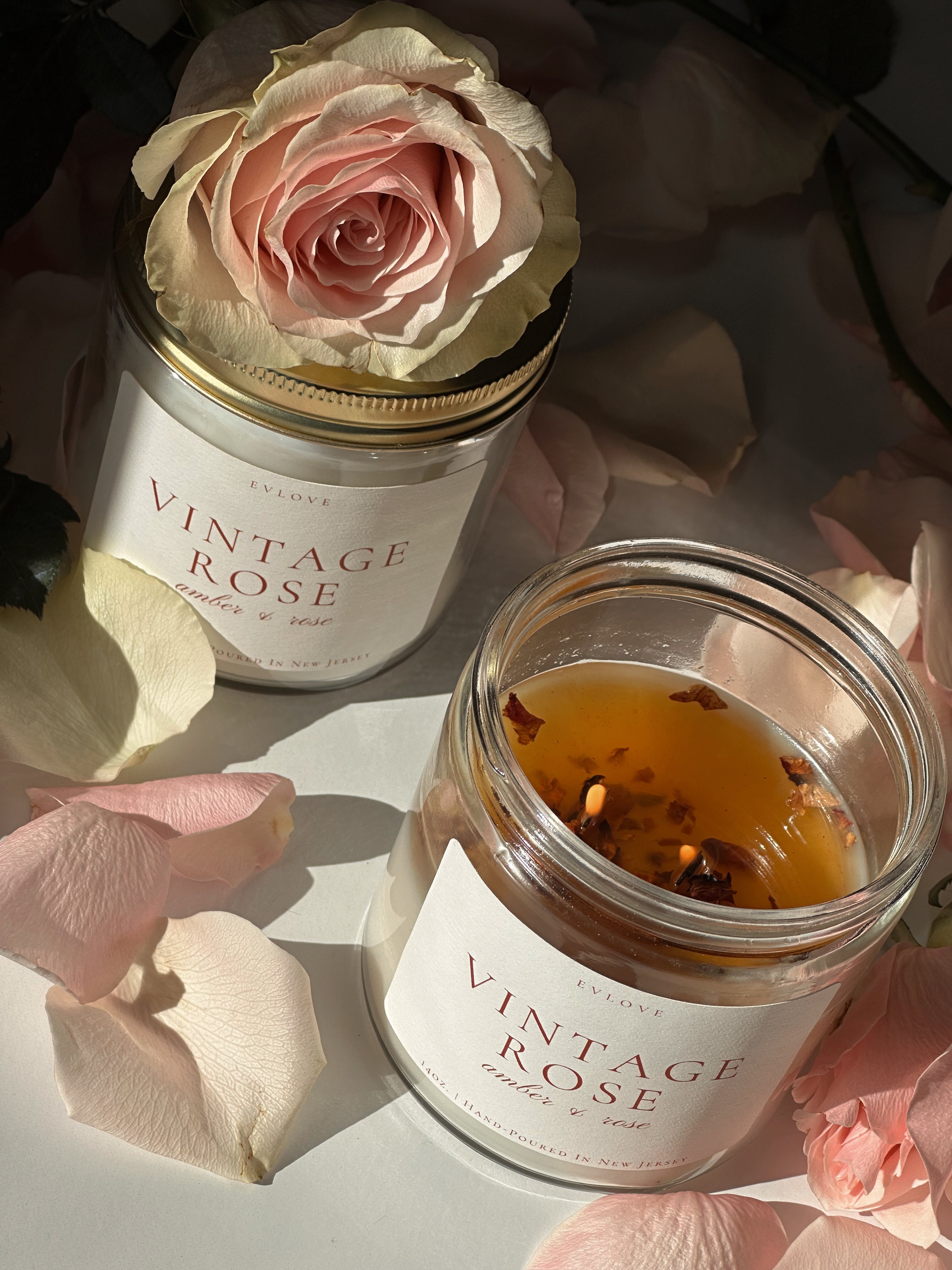 Vintage Rose | Amber & Rose