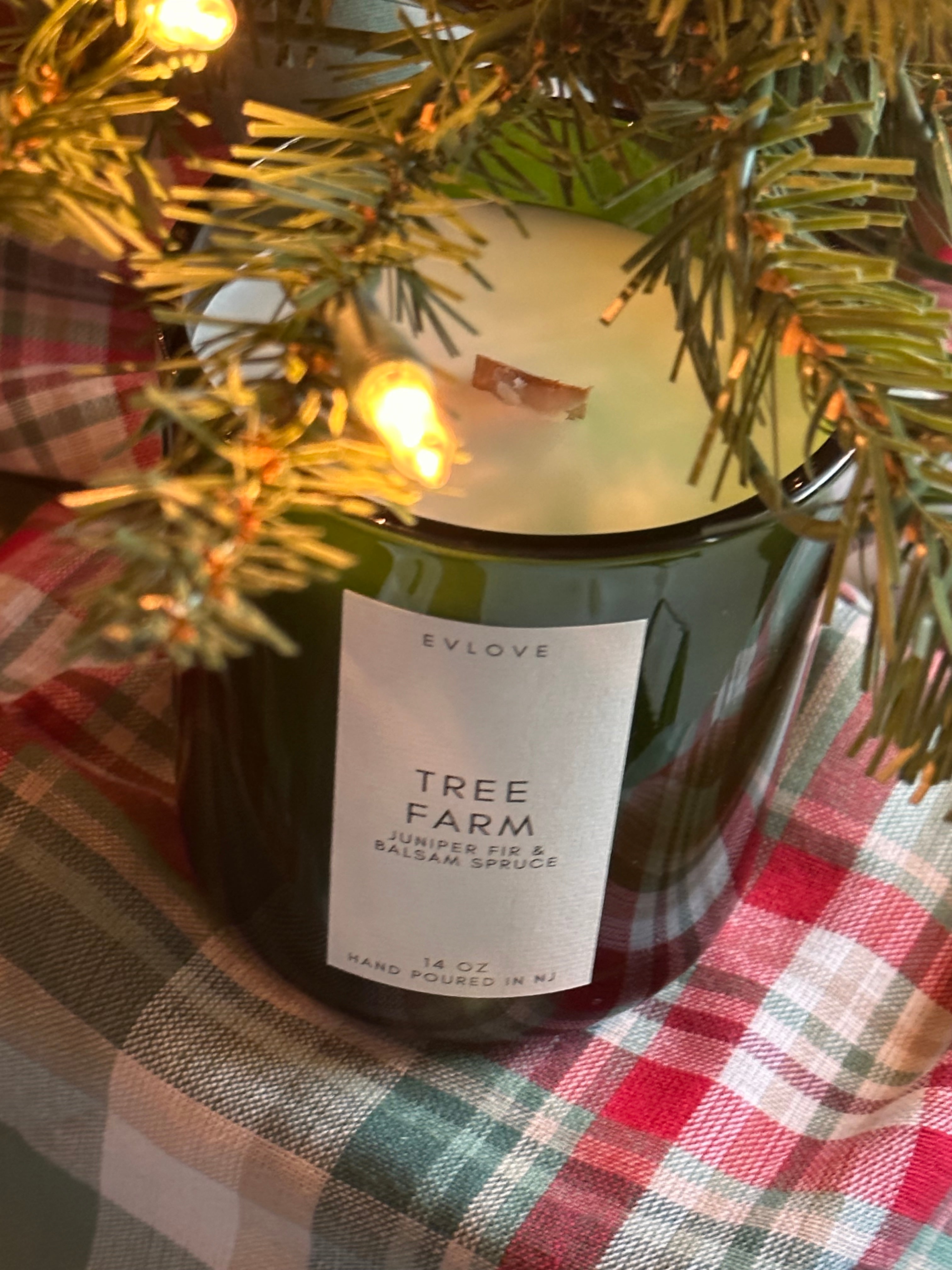 Tree Farm | Juniper Fir & Balsam Spruce