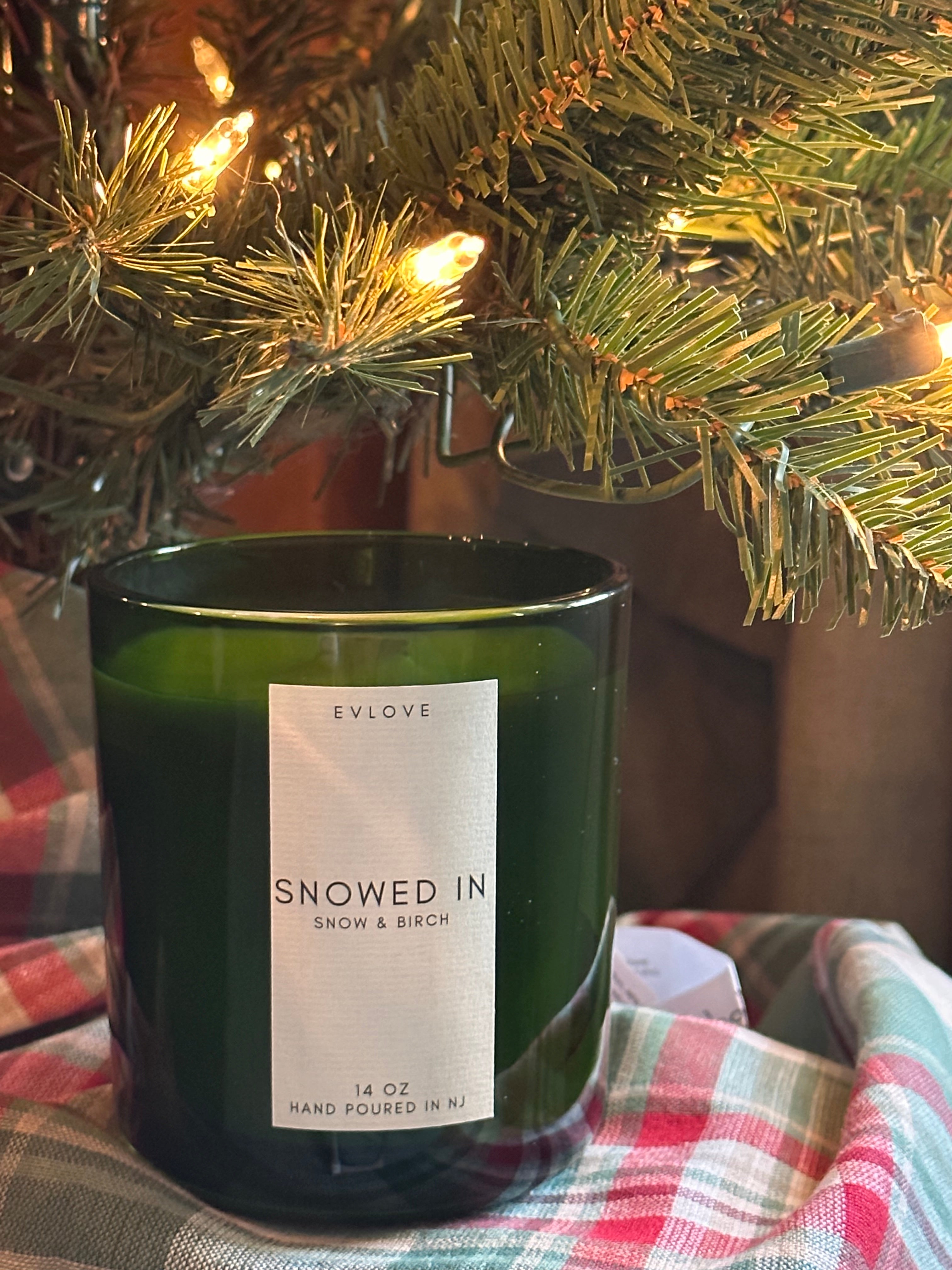 Snowed In | Snow & Birch