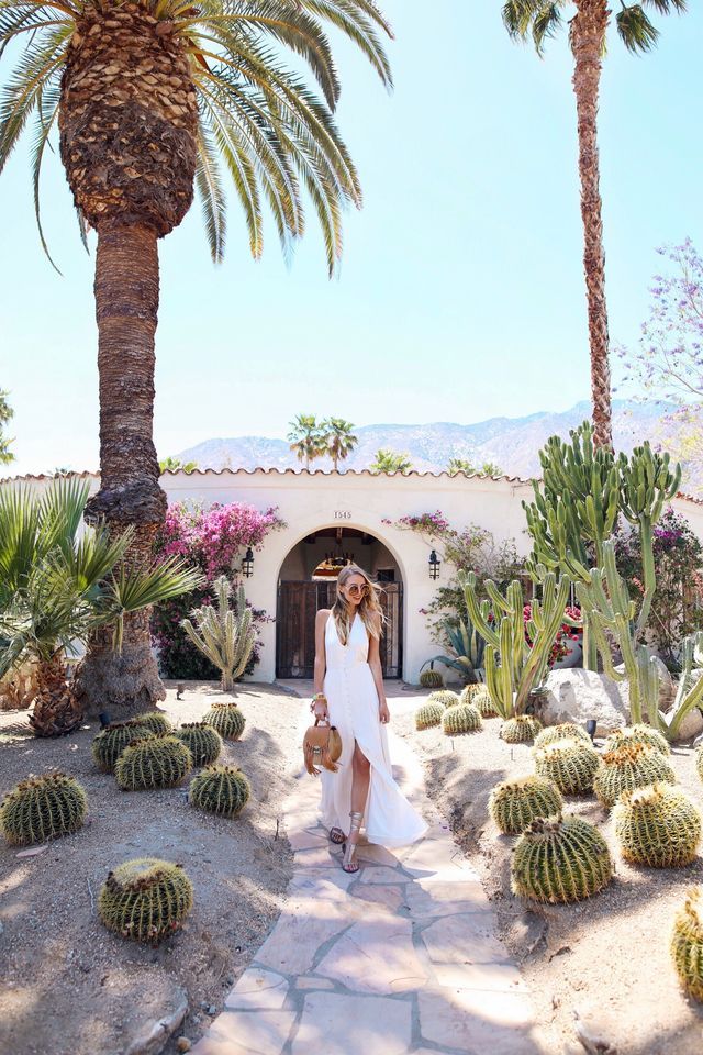 Palm Springs | Cactus Water & Himalayan Musk