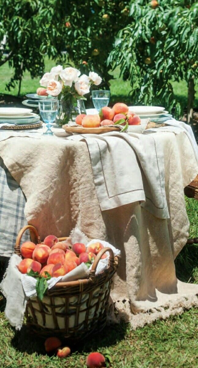 Georgia Peach | Peach Gardenia