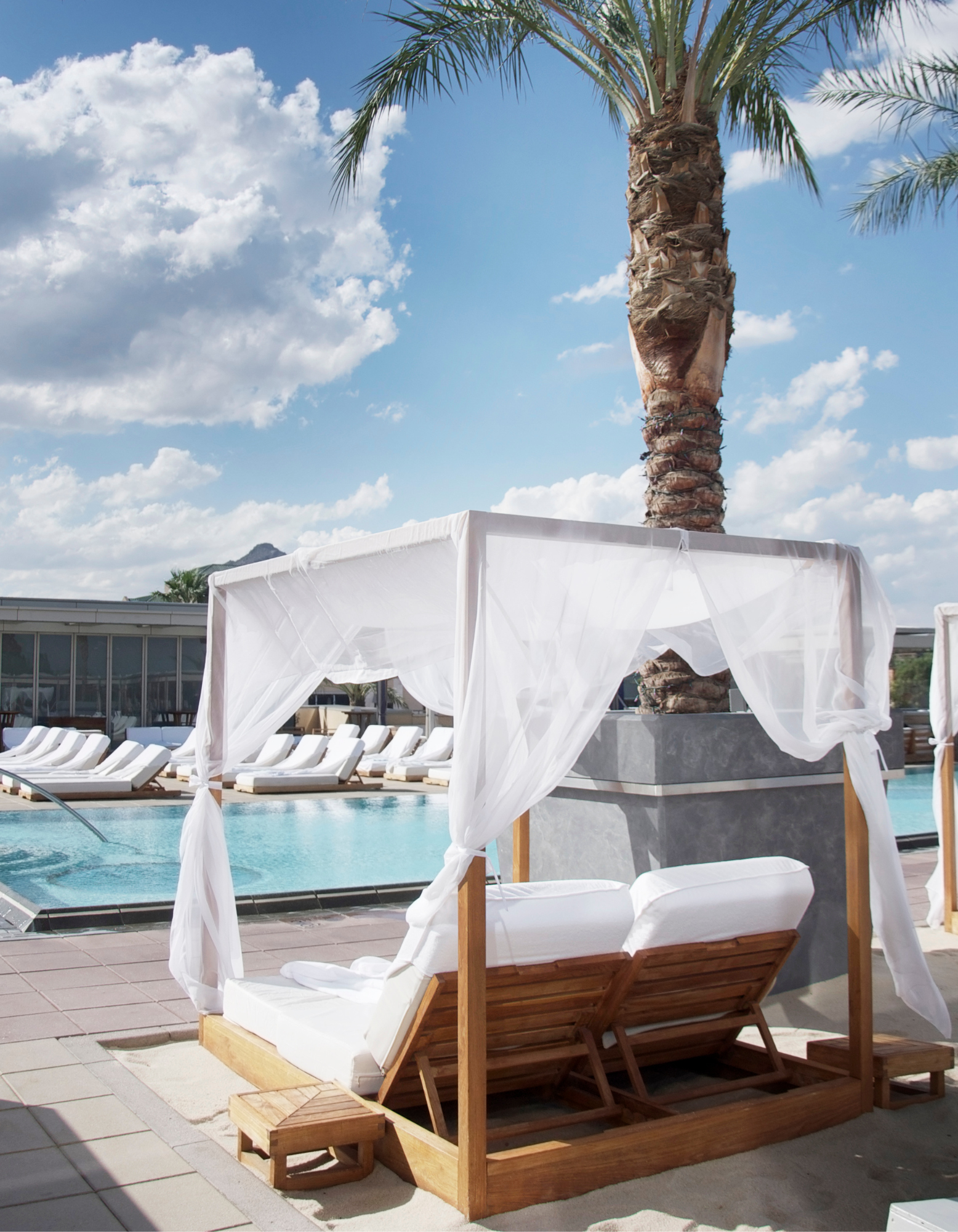 Cabana Boy | Santal & Coconut