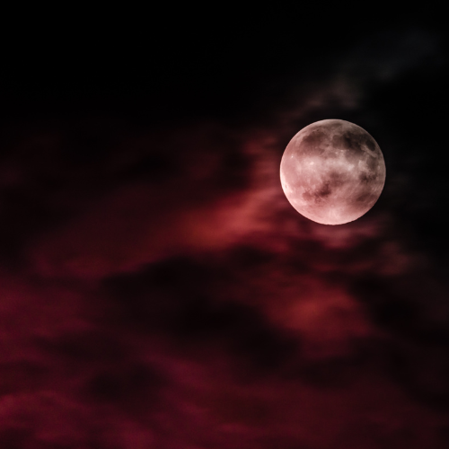Velvet Moon | Plum, Cinnamon &amp; Cedar