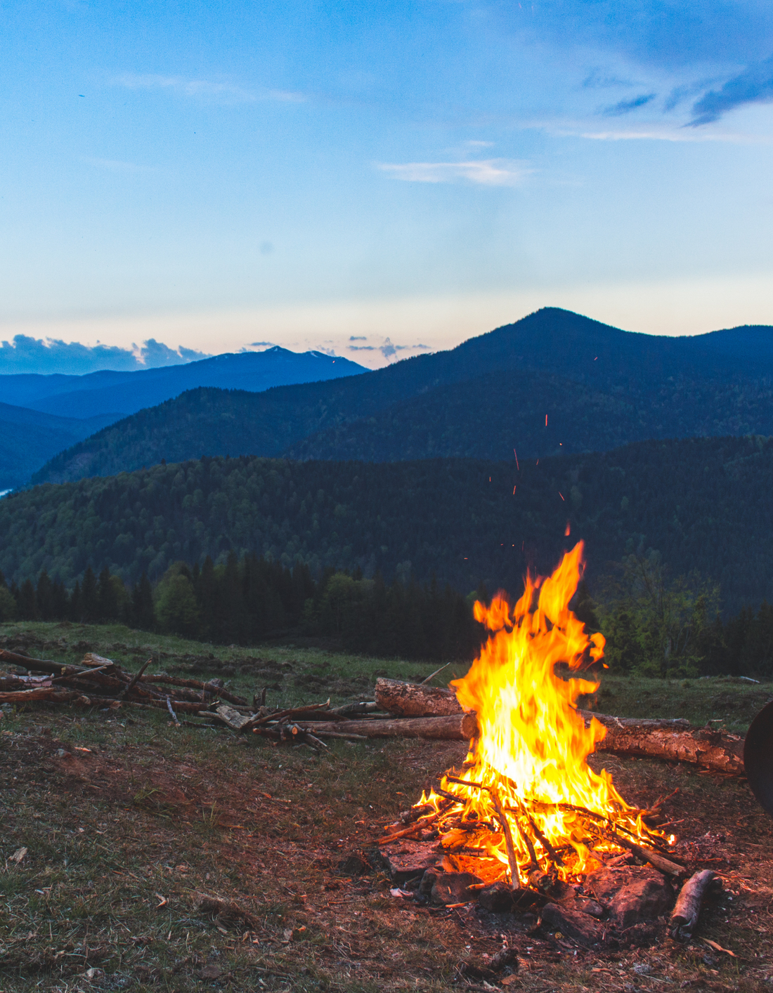 Bonfire Nights | Harvested Sumac & Campfire