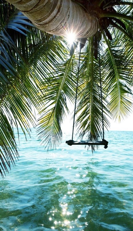 Vacation | Santal & Coconut